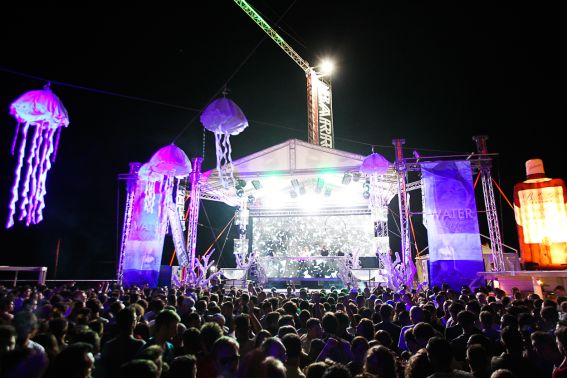 papaya-2012-70