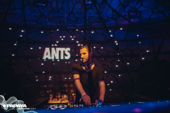 ANTS_GOXMAG_(103)