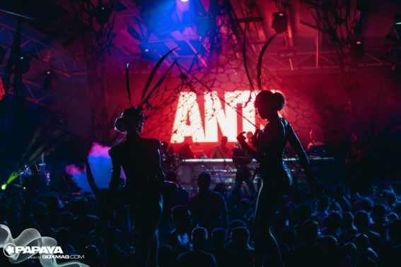 ANTS_GOXMAG_(58)